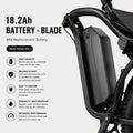 Coogee Bikes 18.2Ah Battery - Blade Coogee Bikes