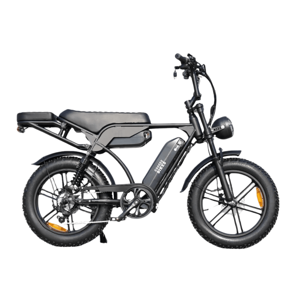 2026 Cruiser - Dual Battery
