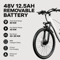 2026 Halo Coogee Bikes